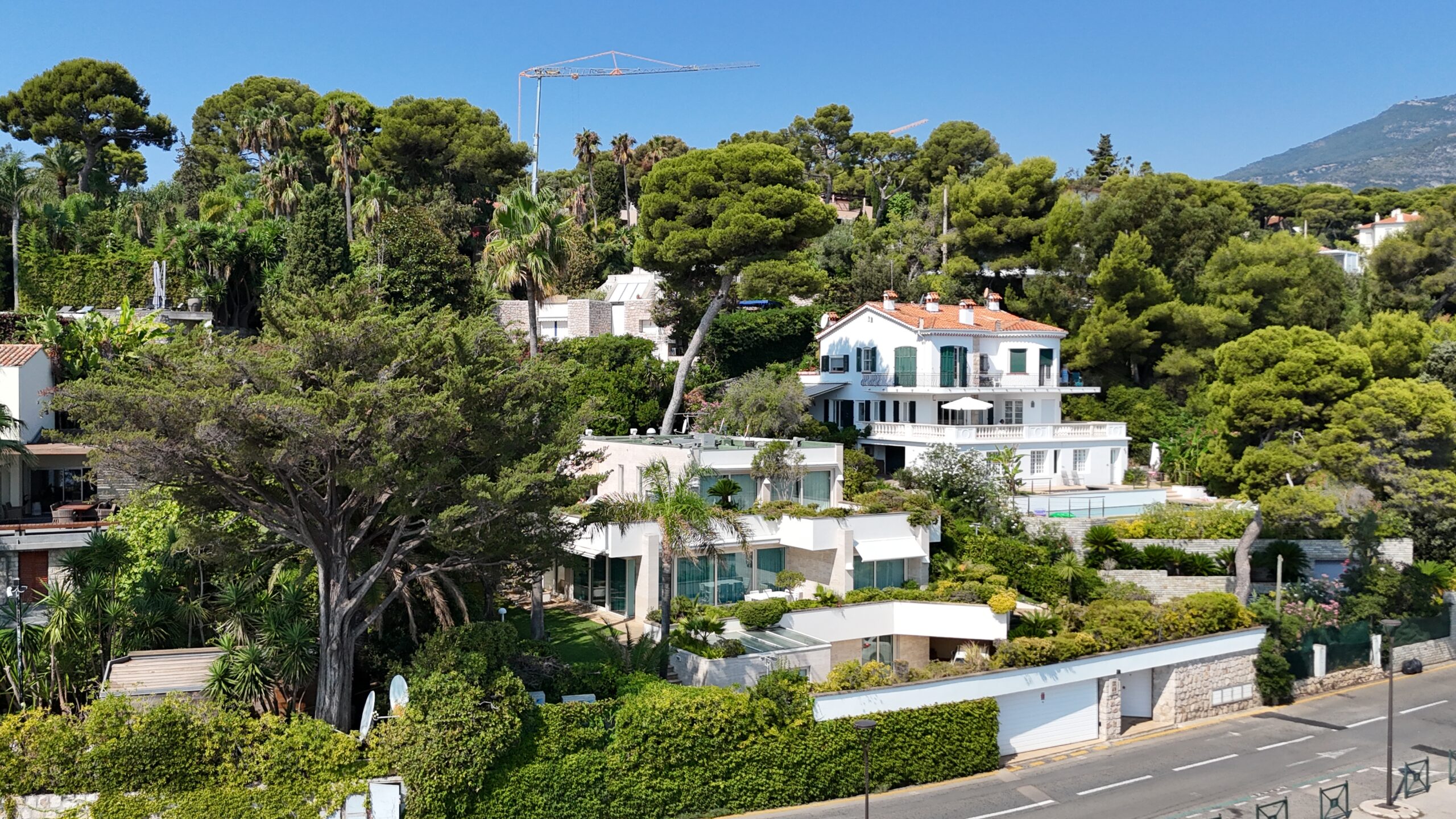 Luxury white villa with swimming pool surrounded by pine and palm trees on the French Riviera